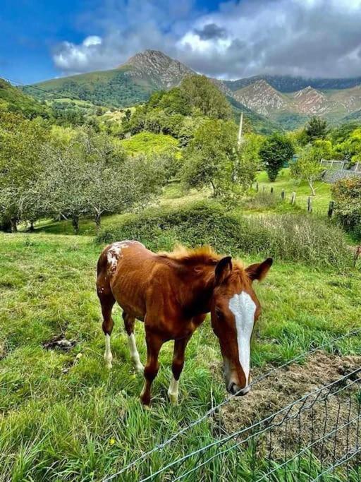 La Coqueta Del Sueve Villa Arriondas Dış mekan fotoğraf