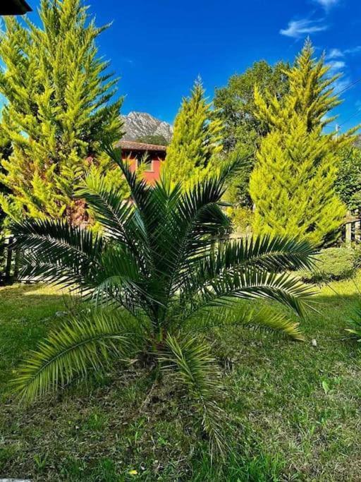 La Coqueta Del Sueve Villa Arriondas Dış mekan fotoğraf