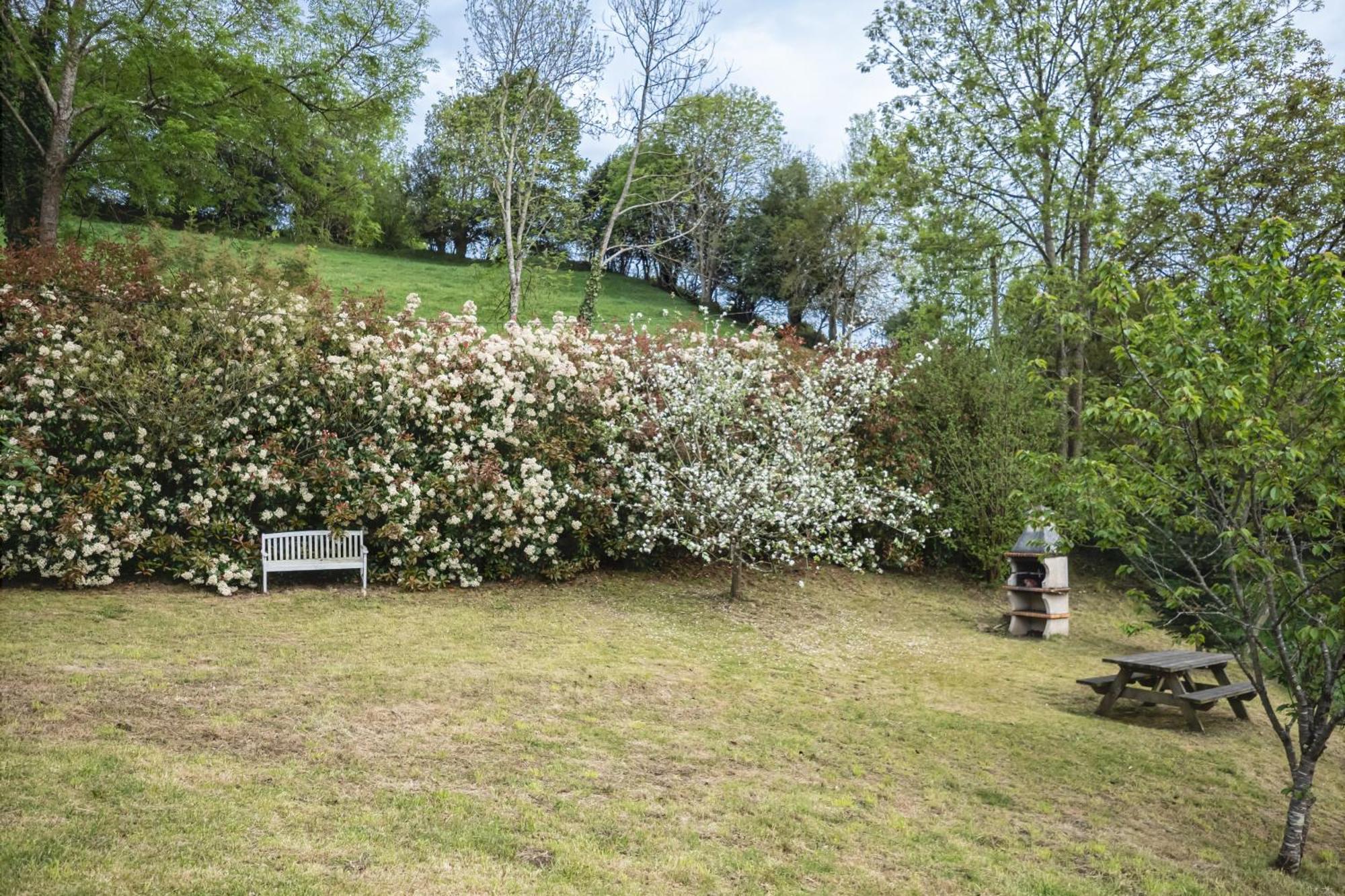 La Coqueta Del Sueve Villa Arriondas Dış mekan fotoğraf